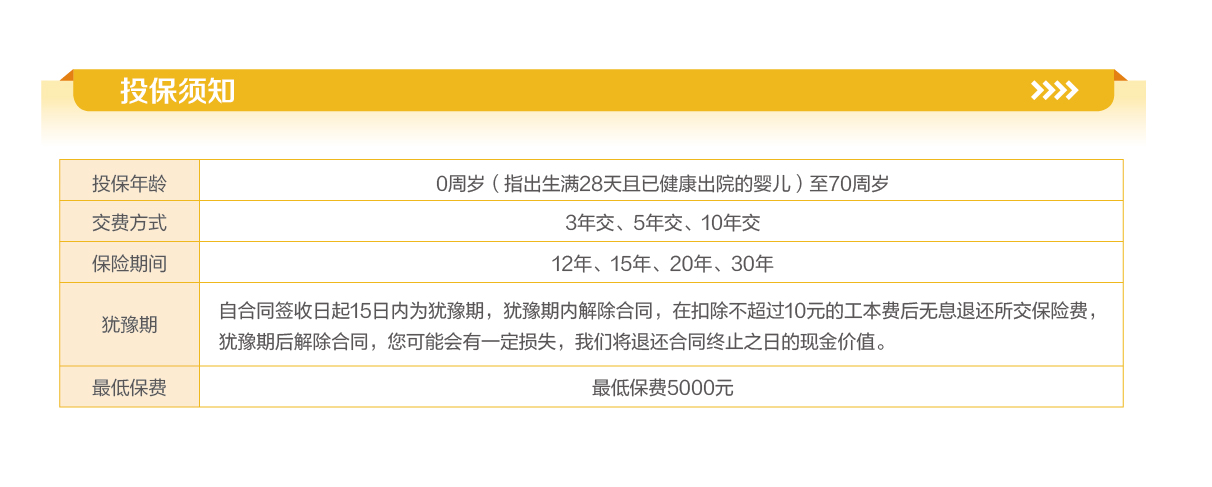 英大人寿鑫禧恒盈两全保险